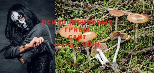PSILOCYBIN Алексеевка