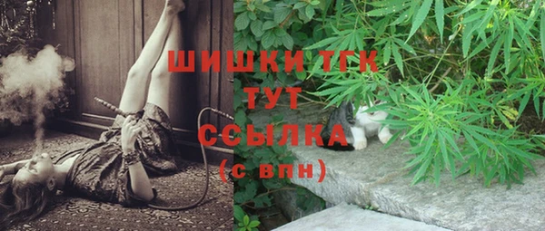 PSILOCYBIN Алексеевка