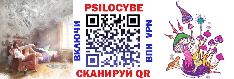 Псилоцибиновые грибы Psilocybe  где купить наркоту  Пыталово 