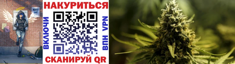закладка  Пыталово  Канабис семена 